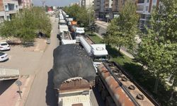Kumruların kırmızı ışık sefası: Şanlıurfa'da doğadan gösteri