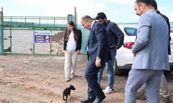 Şanlıurfa Karaköprü’de Sokak Hayvanları İçin Modern Barınak Dönüşümü!