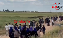 Viranşehirli kadınlar artık yeter dedi: “Karanlığımız ışık olun”
