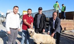 Eyyübiye Belediyesi Bayramda Tarım İşçisi Ailelerin Yüzünü Güldürdü