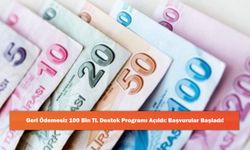 Geri Ödemesiz 100 Bin TL Destek Programı Açıldı: Başvurular Başladı!