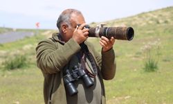 Silah tutan el şimdi fotoğraf makinesi tutuyor: Şanlıurfa’da büyük değişim