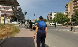 Haliliye Belediyesi Bayram Boyunca Denetimlerini Sürdürüyor