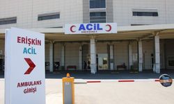 Şanlıurfa’da 5 Öğrenci Erikten Zehirlendi