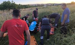 Şanlıurfa’da Lastiği Patlayan Otomobil Kaza Yaptı: 5 Yaralı