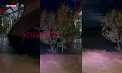 Şanlıurfa’da Fırat Nehri Yükseldi: Vatandaşlara Uyarı