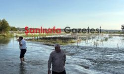 Birecik’te Baraj kapakları açıldı Su Fıstık Bahçelerini Vurdu