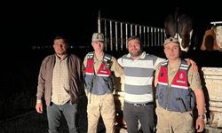 Şanlıurfalı çobana jandarmadan yardım eli; Binlerce lira kayıptan kurtuldu!