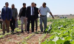 Başkan Gülpınar’dan Dünya Çiftçiler Günü Mesajı