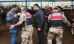 Şanlıurfa Jandarması Kurban Pazarlarında Tedbirleri Artırdı