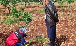 Şanlıurfa’da Alo Ziraat Doktorum İhbarına Yerinde Müdahale