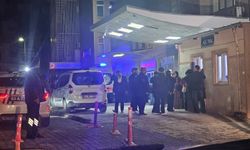 Şanlıurfa’da Elektrik Akımına Kapılan Kadın Hayatını Kaybetti