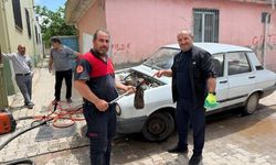 Şanlıurfa’da Sürücü Şoke Oldu: Aracında Yılan Buldu