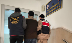 Şanlıurfa’nın o ilçelerinde kaçakçılık operasyonu: 1 gözaltı