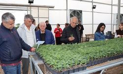 Şanlıurfa’da Tarımın Gücü Yerinde İncelendi!