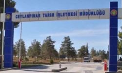 Ceylanpınar Tarım İşletmesi Müdürlüğü Akabane Aşısı Alımı Yapacak