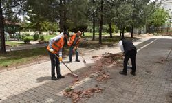 Siverek Belediyesi’nden Viranşehir’e Fırtına Sonrası Destek