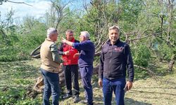 Birecik’te Fırtına ve Yağış Sonrası Hasar Tespit Çalışmaları Sürüyor