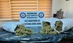 Şanlıurfa’da Narkotik Operasyonu: 8 Kilo Esrar Ele Geçirildi