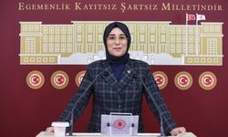 Şanlıurfa’ya Kurban Bayramı Mesajında Birlik Ve Kardeşlik Vurgusu
