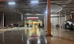 Birecik’te kanlı kavga; Amcasına da acımadı!
