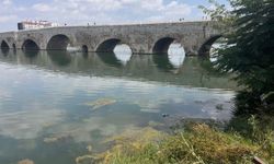 Adana'nın Simgesi Seyhan Nehri Alarm Veriyor! Çöpler Turistlerin İlk Gördüğü Manzara Oldu