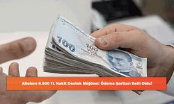 Ailelere 6.500 TL Nakit Destek Müjdesi: Ödeme Şartları Belli Oldu!
