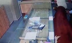 Sigorta şirketine anlatılsa inanılmaz olayın adresi Siverek; Dana kuyumcuyu rehin aldı!