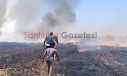Harranlı çiftçiler neye uğradığını şaşırdı; Tişörtleriyle söndürdüler!