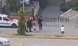Şanlıurfa’da Komşular Arasında Kavga: Polis Müdahale Etti