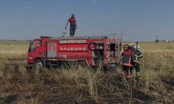 Şanlıurfa’da Buğday Tarlasında Yangın: 10 Dönüm Alan Zarar Gördü