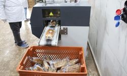 Haliliye Belediyesi Binlerce Çölyak Hastasına Ücretsiz Glutensiz Ekmek Ulaştırıyor