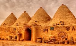 UNESCO listesindeki Harran'da beklenmeyen misafir