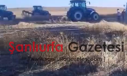 Harran’da Buğday Tarlasında Yangın Paniği