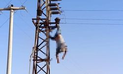 Şanlıurfa’da Elektrik Direğinde Akıma Kapılan İşçi Yaralandı