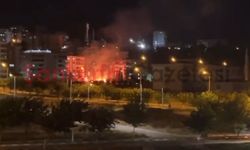 Şanlıurfa'da Otluk Alanda Yangın: İtfaiye Ekipleri Sevk Edildi