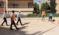 Şanlıurfa’da Ulaşım Ağını Güçlendirecek Yol Çalışmaları Sürüyor