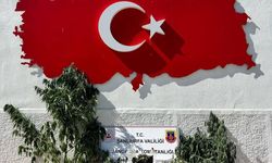 Hilvan’da uyuşturucu üreticisine ceza!