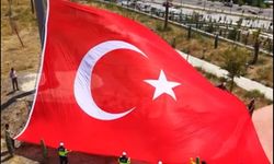 Ceylanpınar Jandarmadan bayrak operasyonu!