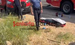 Viranşehir’de feci kaza: 3 kişi hayatını kaybetti!