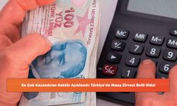 En Çok Kazandıran Sektör Açıklandı: Türkiye’de Maaş Zirvesi Belli Oldu!