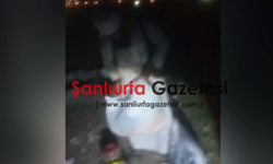 Özbekistanlı şahıs kaçarken Şanlıurfa’da yakalandı!