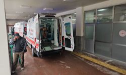 Şanlıurfa’da yunus timleri kaza yaptı: 2 Polis memuru yaralandı