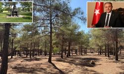 Şanlıurfa Valiliği'nden Yangın Alarmı: İşte bu tarihler arasında girişler yasak!