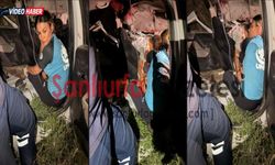 Şanlıurfa’da Otomobil Kamyona Arkadan Çarptı: 3 Yaralı