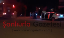 Şanlıurfa’da Otomobilin Motoruna Giren Yavru Kedi 1 Saatte Kurtarıldı