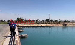 Şanlıurfa'da Sulama Kanalında Kayıp Şahıs İhbarı: Ekipler Seferber Oldu