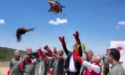 Şanlıurfa’da Yaralı Olarak Bulundular, Sağlıklarına Kavuşup Doğaya Döndüler