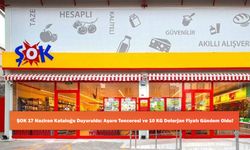 ŞOK 17 Haziran Kataloğu Duyuruldu: Aşure Tenceresi ve 10 KG Deterjan Fiyatı Gündem Oldu!