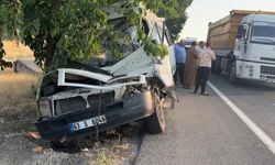 Şanlıurfa-Suruç kara yolunda zincirleme trafik kazası: 4 yaralı